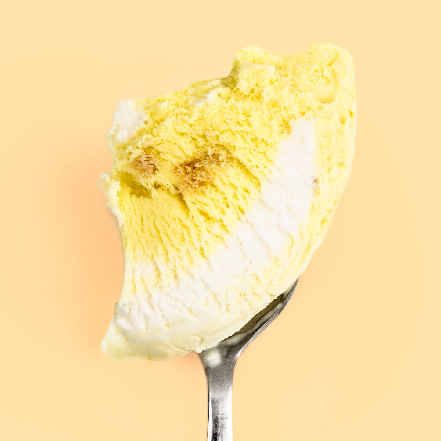 Banana Cream Pudding Pint Jeni's Splendid Ice Creams